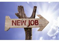 Postuler en été pour augmenter ses chances de décrocher un job