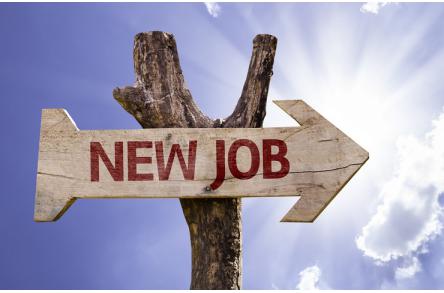 Postuler en été pour augmenter ses chances de décrocher un job