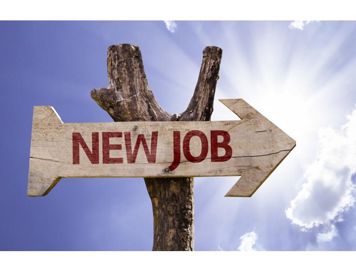 Postuler en été pour augmenter ses chances de décrocher un job