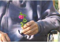 Aux petits soins pour les seniors