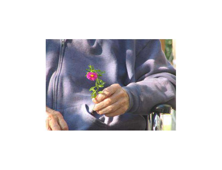 Aux petits soins pour les seniors