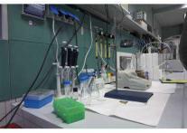Manque de personnel qualifié dans le domaine R&D