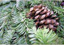 Les marchés de Noël : une alternative pour les jardineries