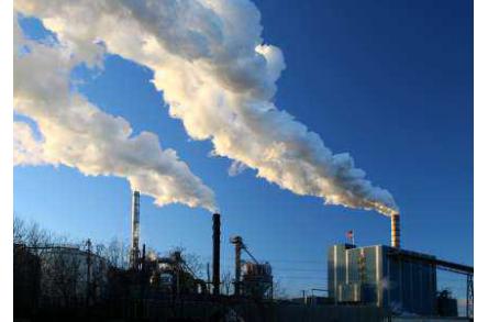 Les formations environnementales ont du succès